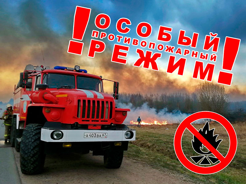 В лесном фонде Ростовской области введен особый противопожарный режим