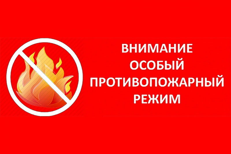 На территории Ростовской области введён особый противопожарный режим
